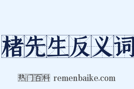 楮先生反义词是什么意思的图片